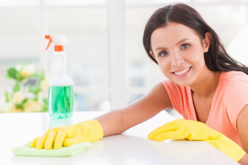Professional carpet cleaning for a Bayswater home interior