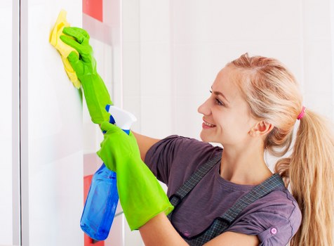 Professional carpet cleaning service in a Bayswater home