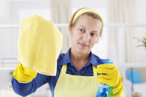 Specialist cleaning for a range oven and kitchen surfaces