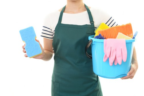 Professional cleaners handling residential and commercial cleaning in Bayswater