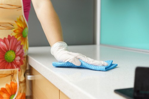 Professional home cleaners working in a Bayswater residence
