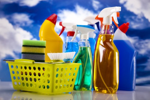 Deep cleaning service for a Bayswater home kitchen and living area
