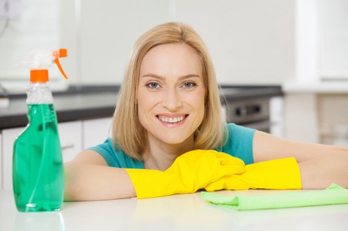 Thorough oven cleaning service for Bayswater kitchens