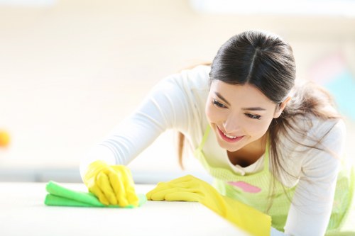 Local Bayswater cleaner preparing a tidy and well-presented interior