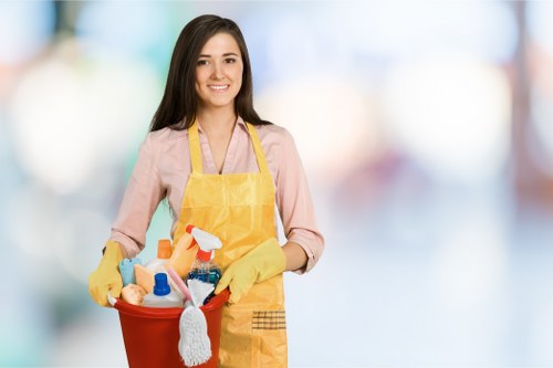 Domestic cleaning service in a Bayswater flat