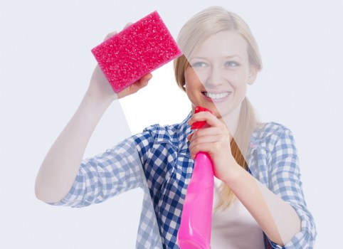 Professional deep cleaning in a Bayswater apartment bathroom