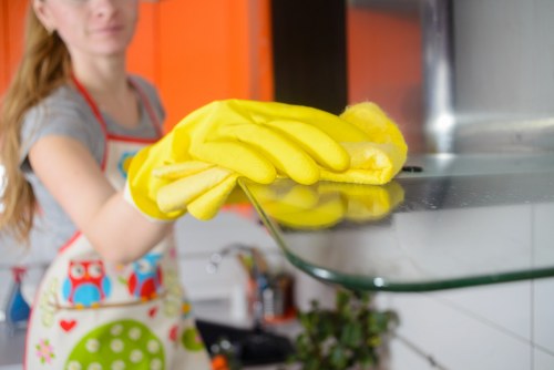 Low-carbon service van used for oven cleaning in Bayswater