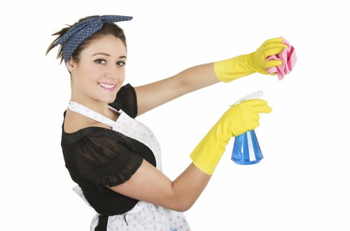 Carpet cleaning for apartments and businesses in Bayswater