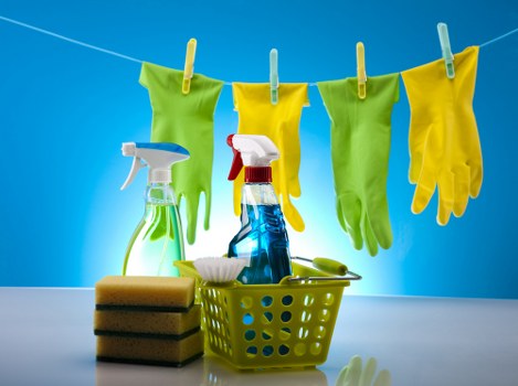 Local upholstery cleaning equipment set up in a Bayswater residence